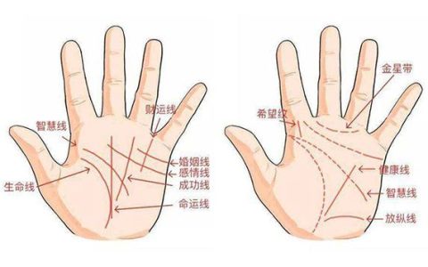 二婚的手相是什么样的 二婚命手相的特征