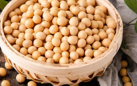 梦见种黄豆什么意思 梦见种黄豆预示什么