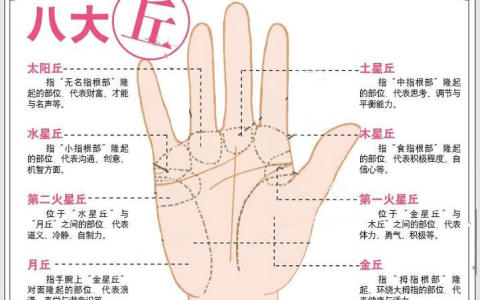 女人哪种手相最好 女人指长能抓钱