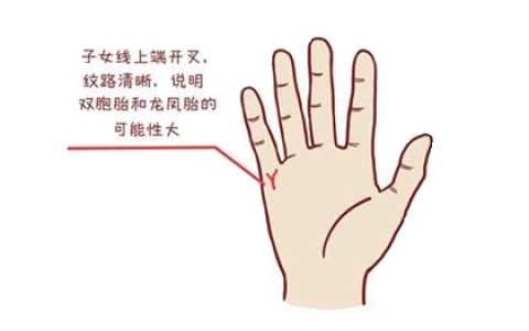 手相可以看出几个孩子