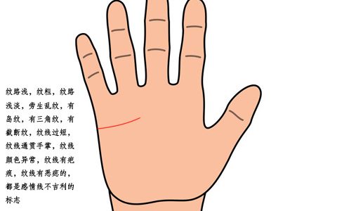 感情线很短代表什么