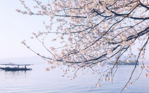 梦见树木开花什么意思 梦见树木开花有什么征兆