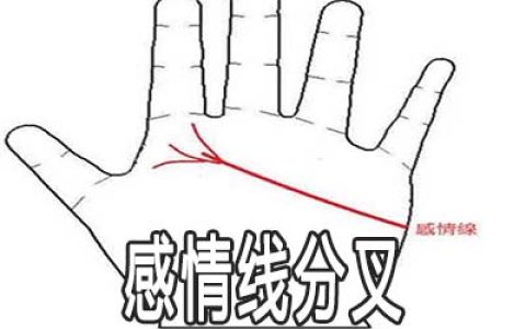 感情线末端分叉是什么意思