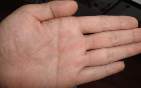 断掌纹的男人命运怎么样