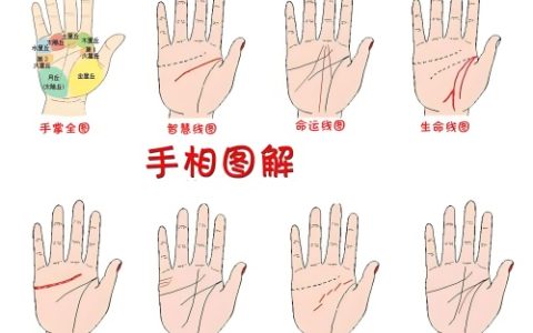 掌纹图解女右手详解
