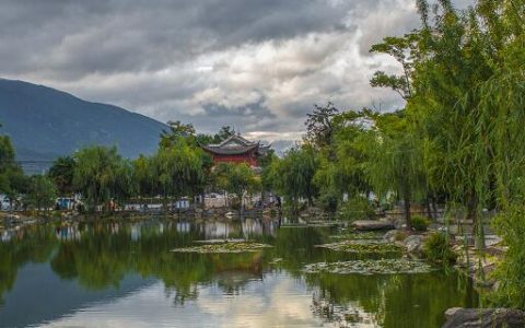 梦见水边垂柳什么意思 梦见水边垂柳有什么征兆