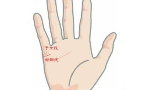 女生手相怎么看有几个孩子