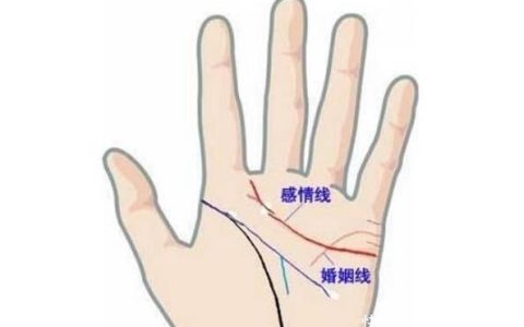 婚姻线和感情线的区别