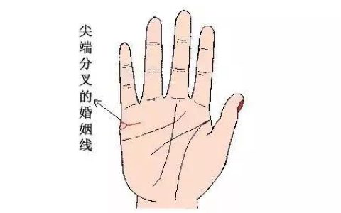 婚姻线分叉一定会离婚吗?