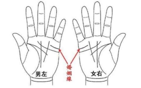 婚姻线看左手还是右手