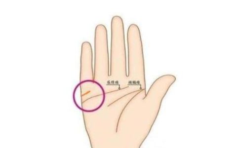 婚姻线一条代表什么