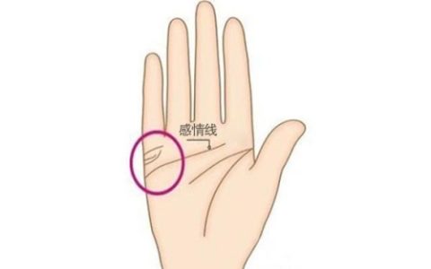 婚姻线怎么看有几段婚姻？