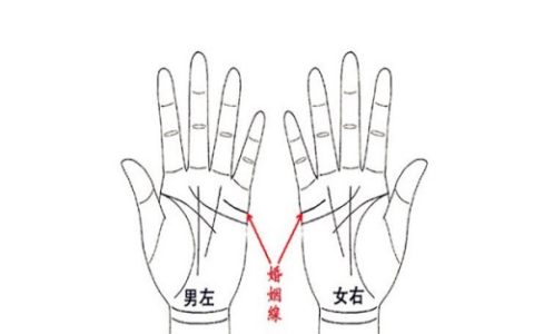 婚姻线怎么看图解，婚姻线是哪一条？