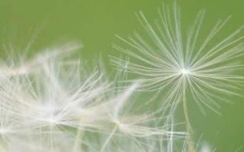 天秤座曾在爱情里做过的傻事
