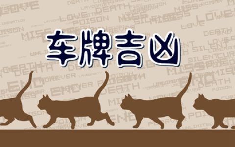 车牌号最吉利的字母组合 财运旺的号码数组