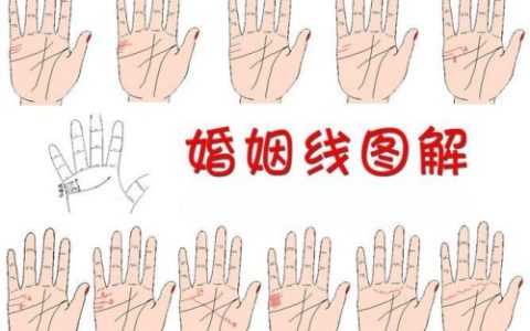 婚姻线图解大全