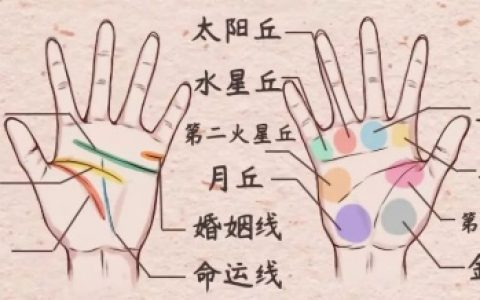 手相感情线图解大全