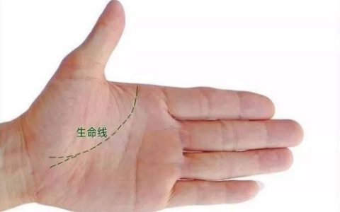 手相生命线有分叉什么意思