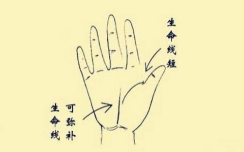 人的手相生命线短寿命就短吗