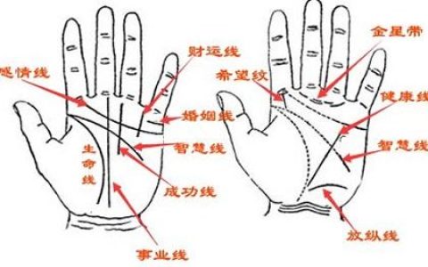 手相怎么看出女人有多少个男人