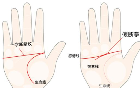 断掌纹的男人有什么说法
