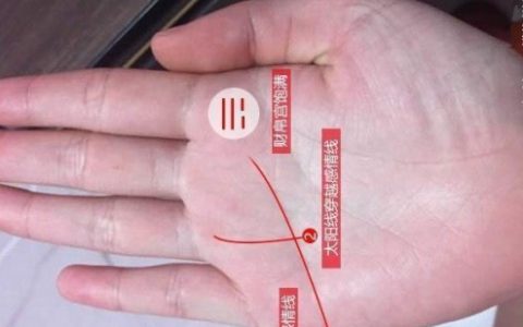 无名指下面的竖线代表什么