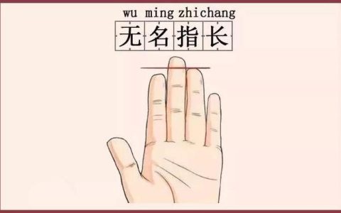 无名指比食指长的男人命运如何