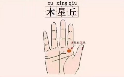 木星丘凸起有什么寓意和象征