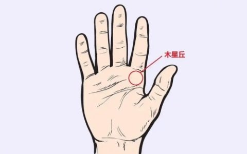 木星丘有横纹代表什么