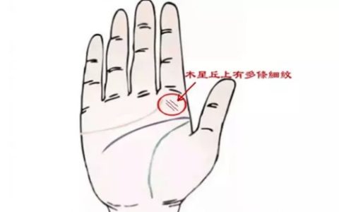 木星丘上的各种纹代表的意思