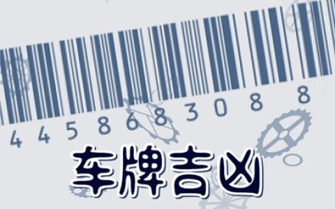猪生肖车牌吉利号码多少 吉祥旺运的车牌数字寓意