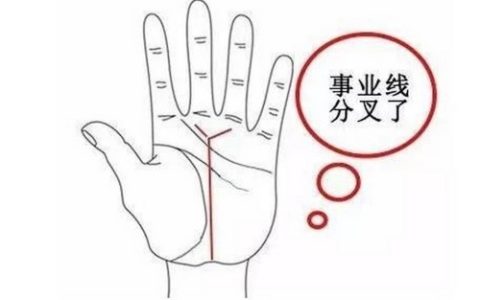 事业线有分叉是什么意思