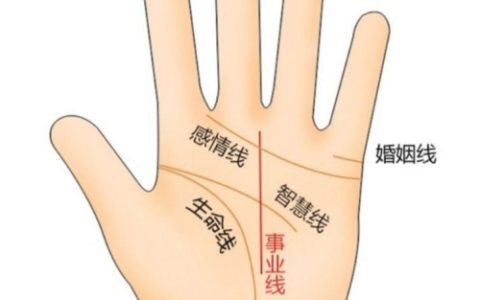 事业线是指女人的哪个部位?