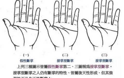 感情线与智慧线相连但又不是断掌