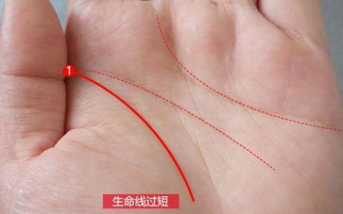 生命线只有一半能活多少岁
