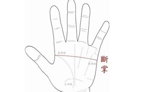 断掌纹的男人婚姻怎么样