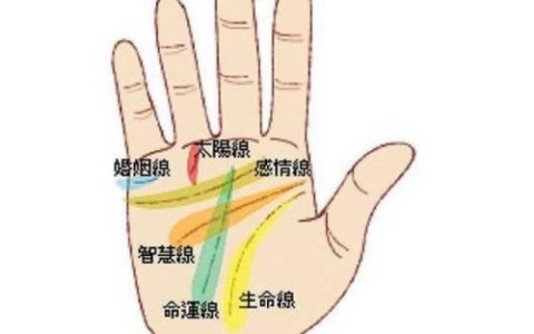 孤独终老的手纹是啥样的
