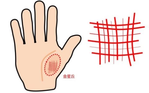 金星丘有很多横纹和竖纹代表什么