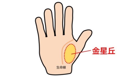 金星丘饱满是什么意思