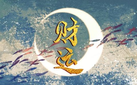 属蛇的人车牌号怎么选 最聚财吉祥的车牌数字