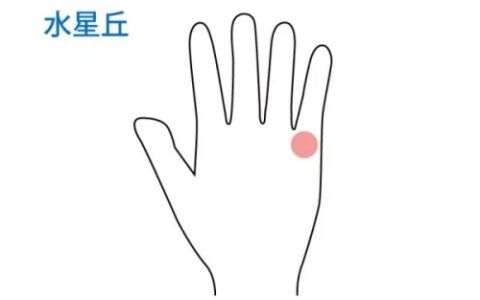 水星丘饱满代表什么