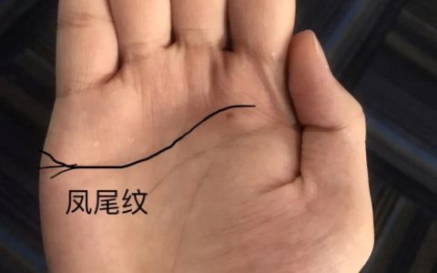 有凤尾纹手相女人命运如何
