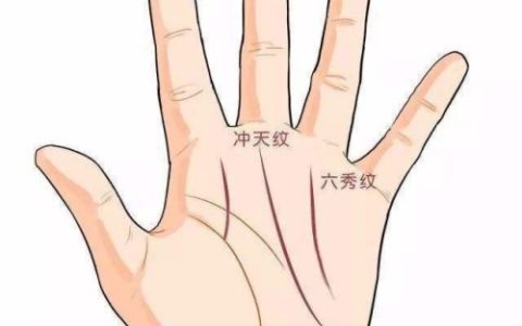 霸王线和三奇纹区别？