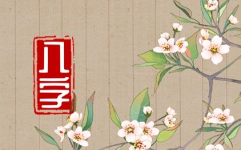 三位数车牌号码大全吉祥寓意 车牌号369最吉利