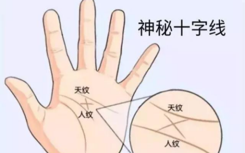 十字纹在手掌中心代表什么意思