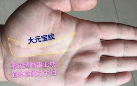 女人左手元宝纹暗示什么