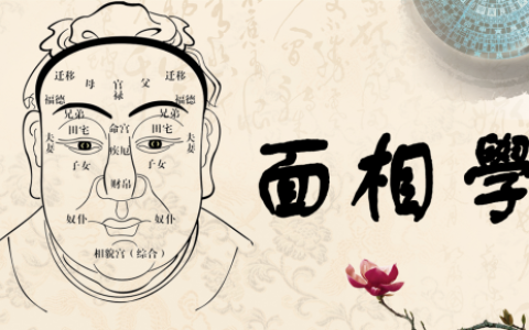 面相痣相大全图片