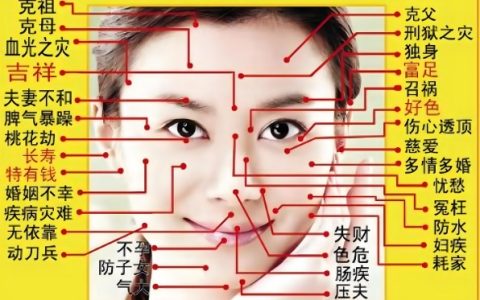 女人脸部痣的位置与命运图解