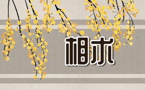 女生额头大有福气吗 有福相吗