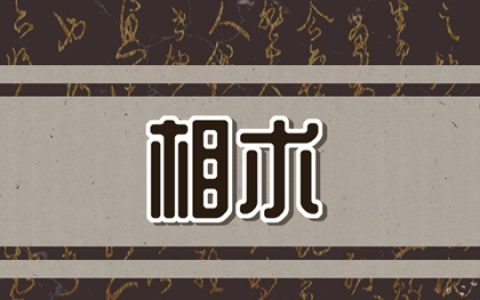 眼袋干瘪男人面相 面相不好事业不顺